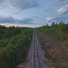 Почти 50% грузов из Архангельской области не могут быть доставлены в срок по железной дороге