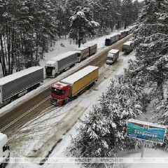 Польша и Беларусь не будут обмениваться разрешениями на 2023 год